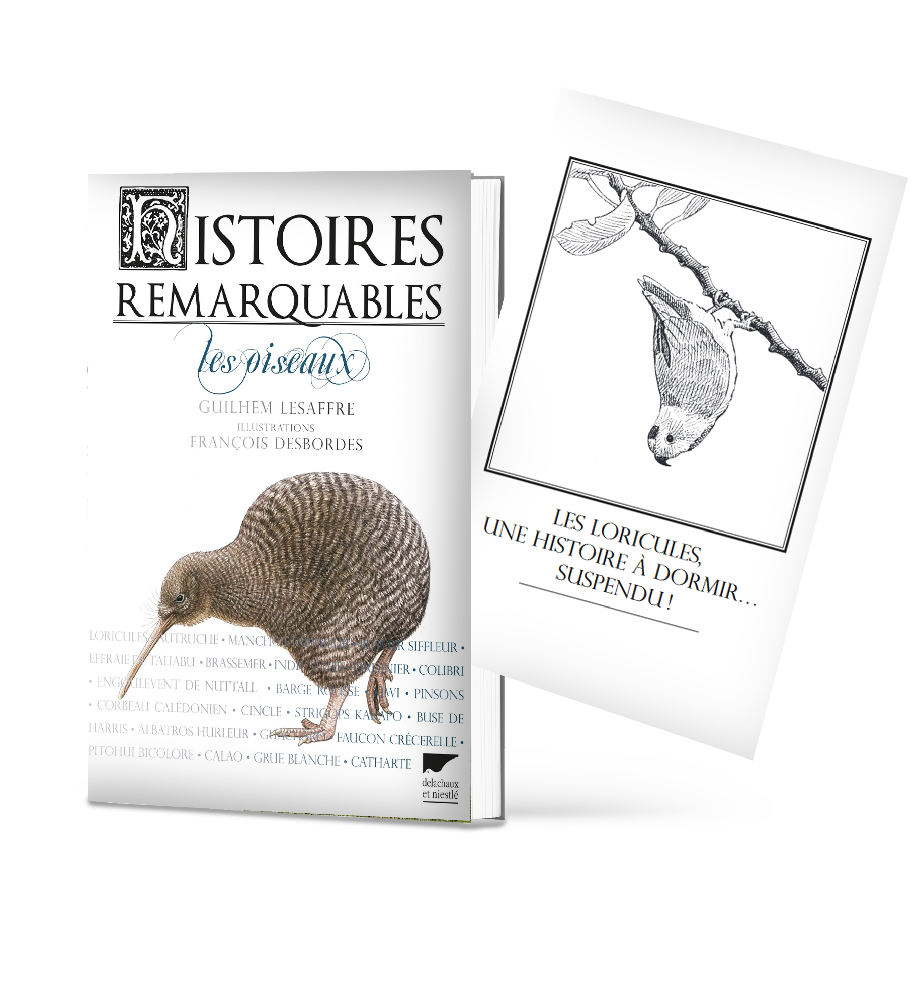Histoires remarquables, les oiseaux